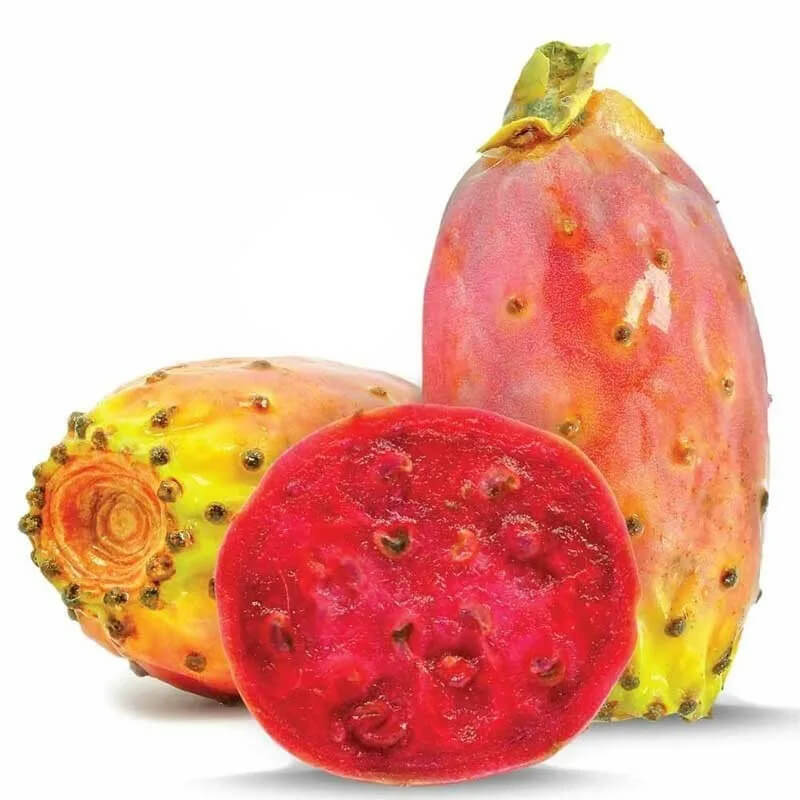 The Intricate Process of Pressing Prickly Pear Cactus Oil: From Farm to Beauty